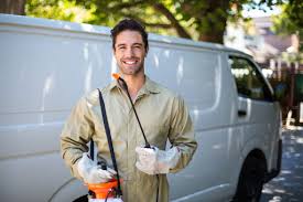 Best Fumigation Services  in Lake Stevens, WA